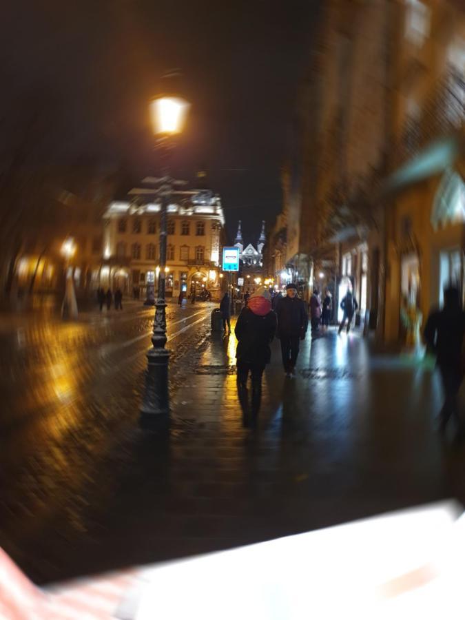 Апартаменти У Шевальє. Lviv Kültér fotó